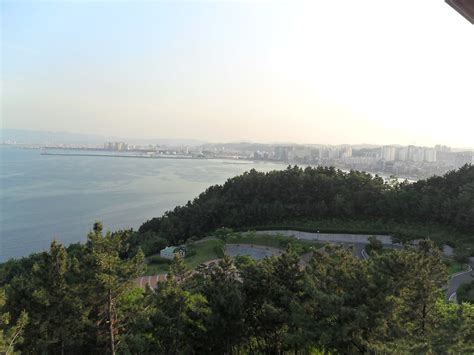 Pohang's Yeongil Bay: A Tranquil Haven for Nature Enthusiasts and Coastal Explorers!