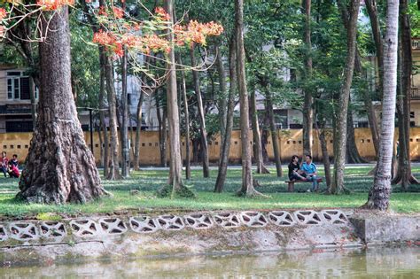  Vườn Bách Thảo Ba Thành: Nơi Tràn Đầy Màu Sắc và Tinh Hoa Thiên Nhiên!